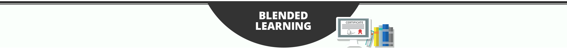 Blended Learning