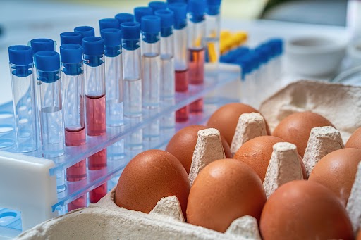 Image of Eggs and Vials